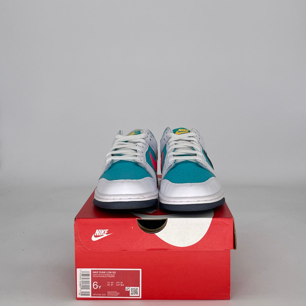 Nike Dunk Low Dusty Cactus Thunder Blue (GS)
