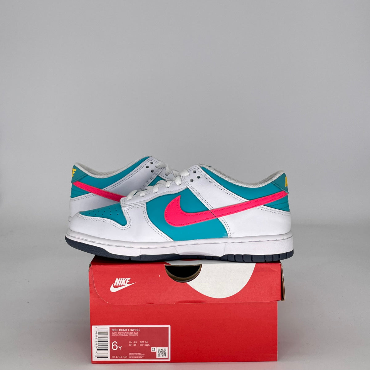 Nike Dunk Low Dusty Cactus Thunder Blue (GS)
