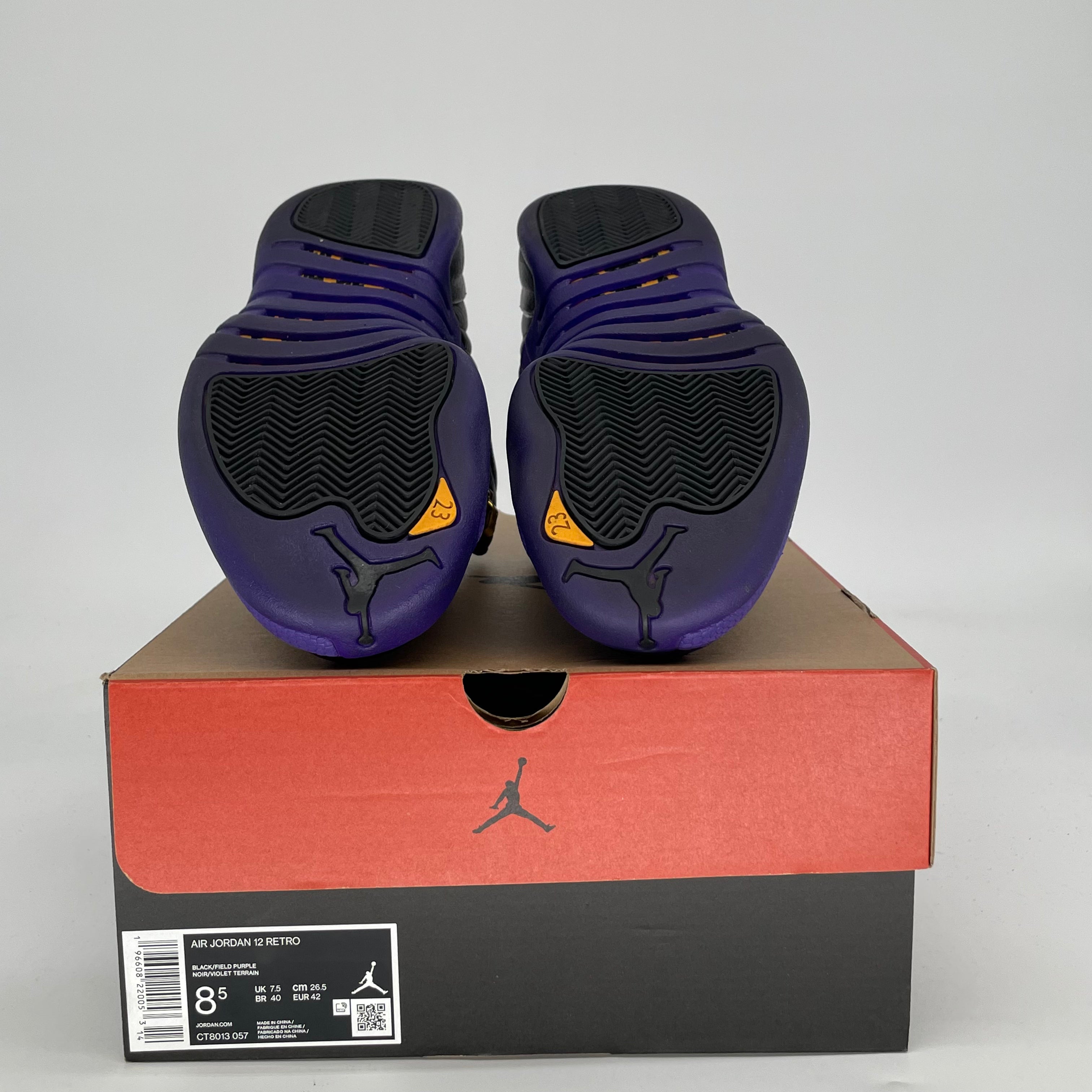 AIR JORDAN 12 FIELD PURPLE CT8013-057 SIZE 8.5/10W