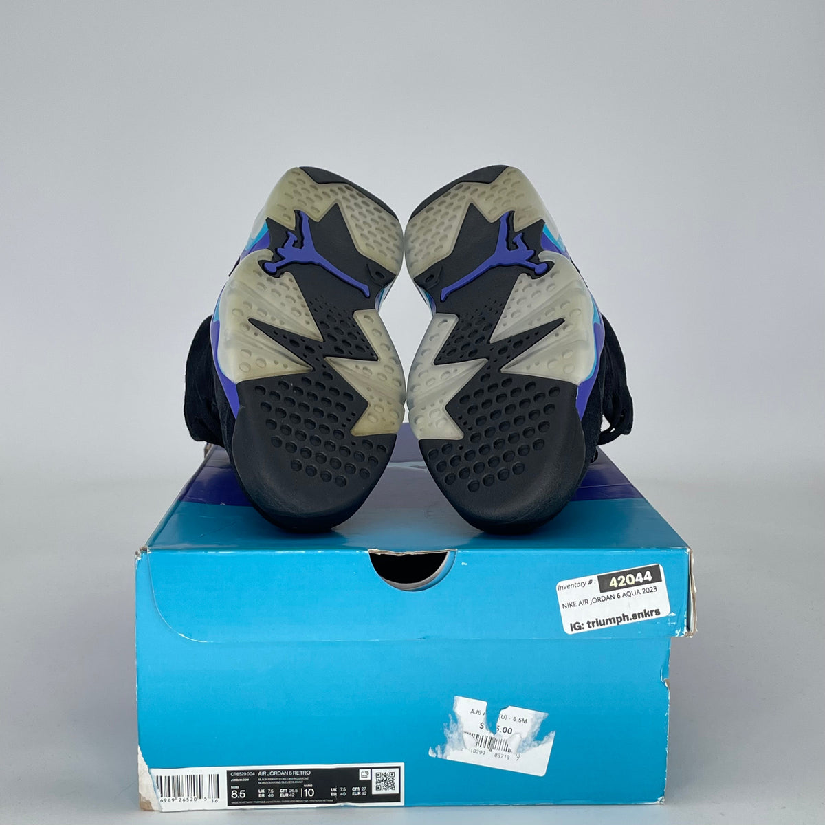 Jordan 6 Retro Aqua