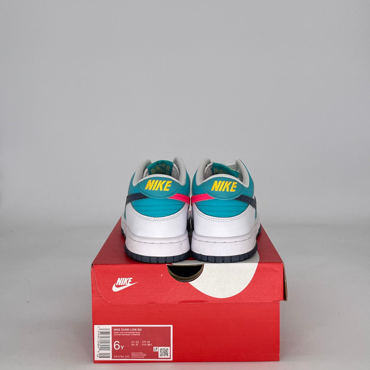 Nike Dunk Low Dusty Cactus Thunder Blue (GS)