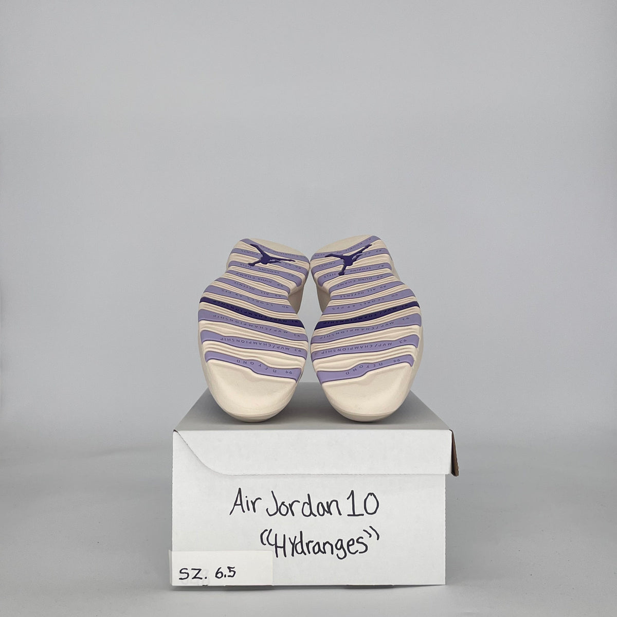 Jordan 10 Retro Hydrangeas (Women's)