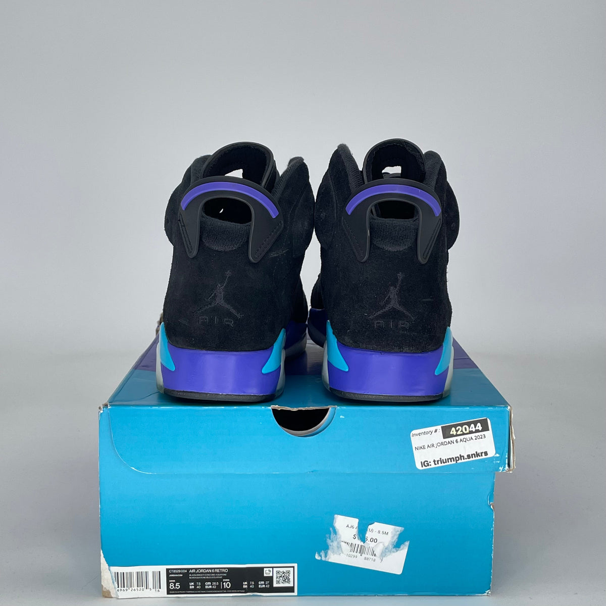 Jordan 6 Retro Aqua