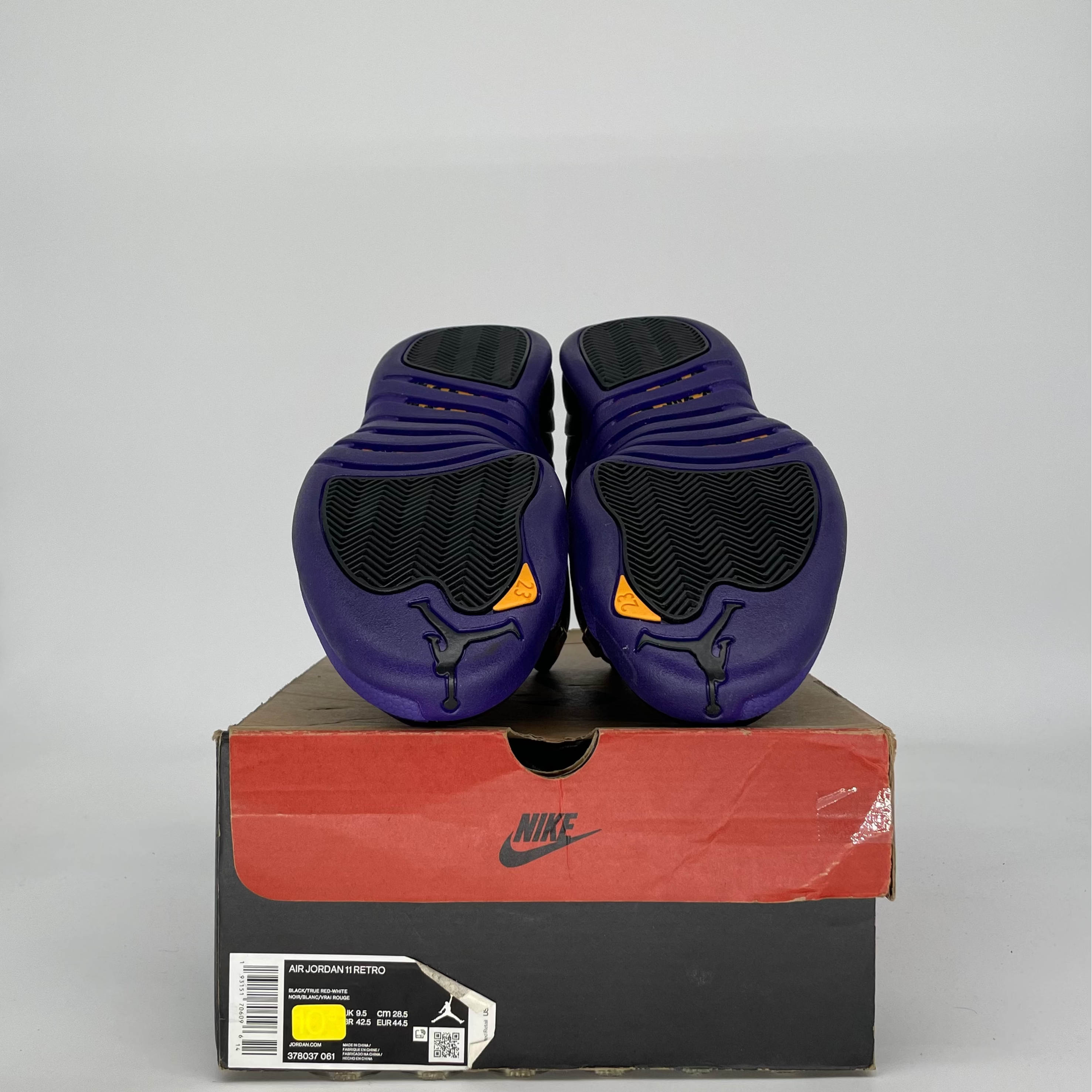 AIR JORDAN 12 FIELD PURPLE CT8013-057 SIZE 10/11.5W