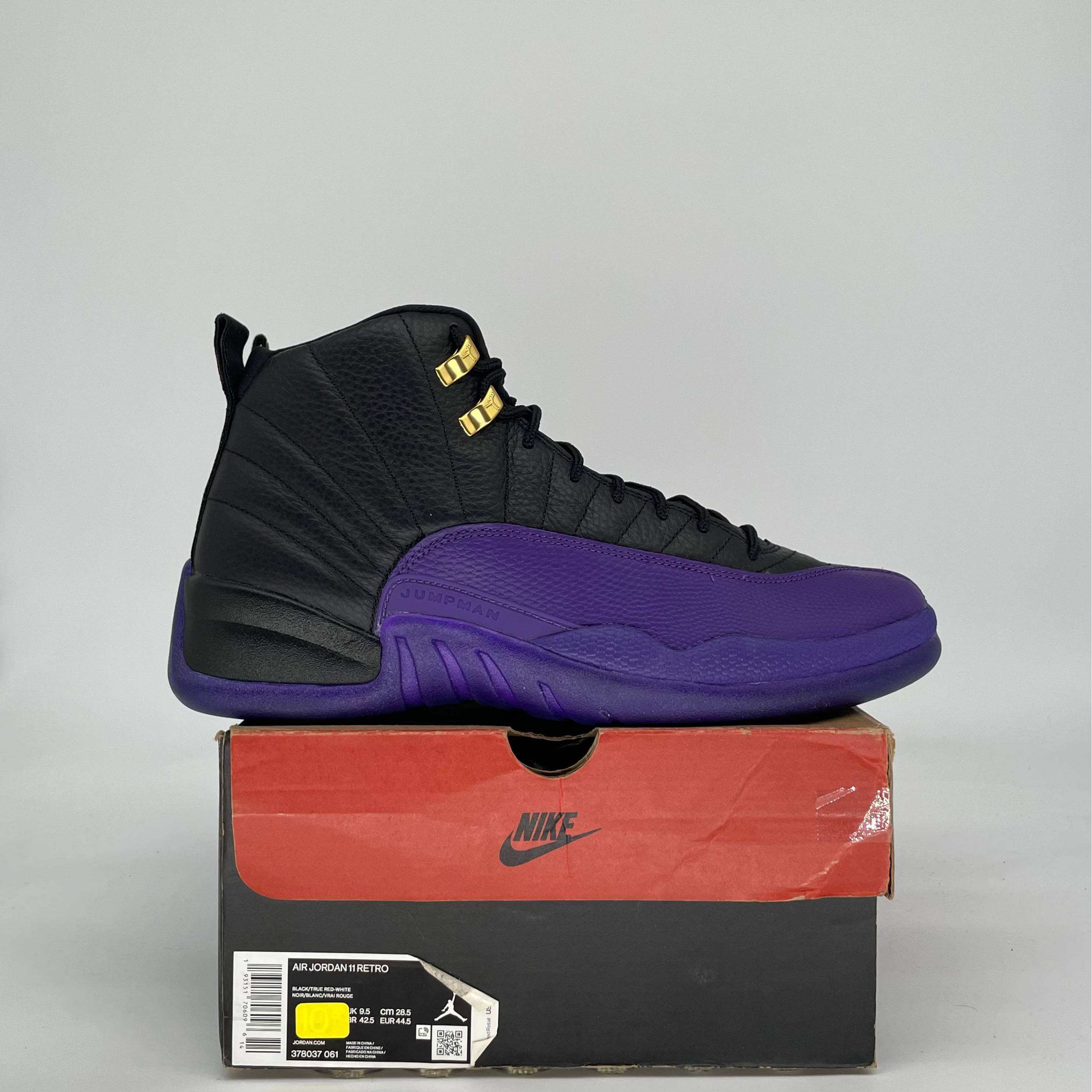 AIR JORDAN 12 FIELD PURPLE CT8013-057 SIZE 10/11.5W