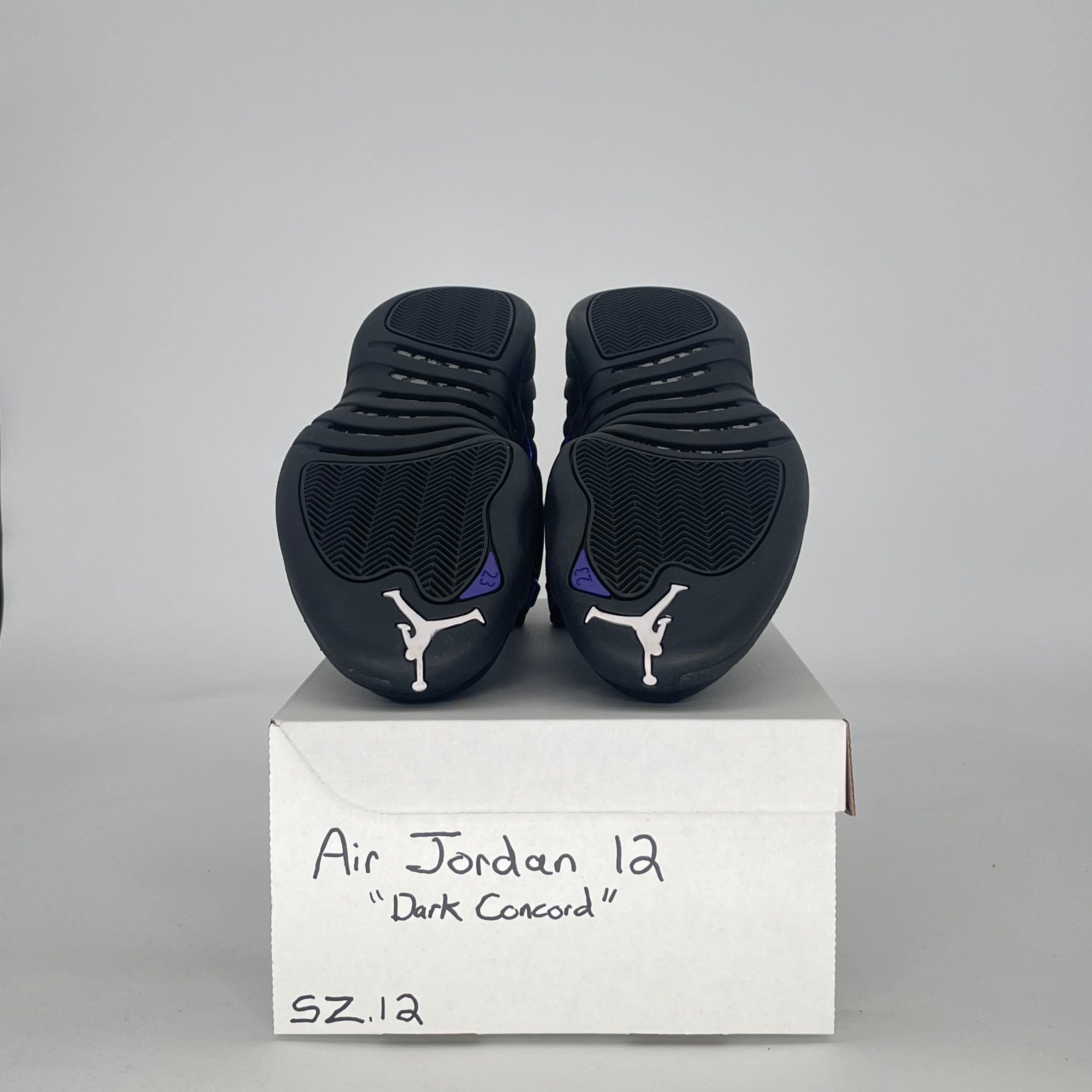 AIR JORDAN 12 BLACK DARK CONCORD CT8013-005 SIZE 12/13.5W