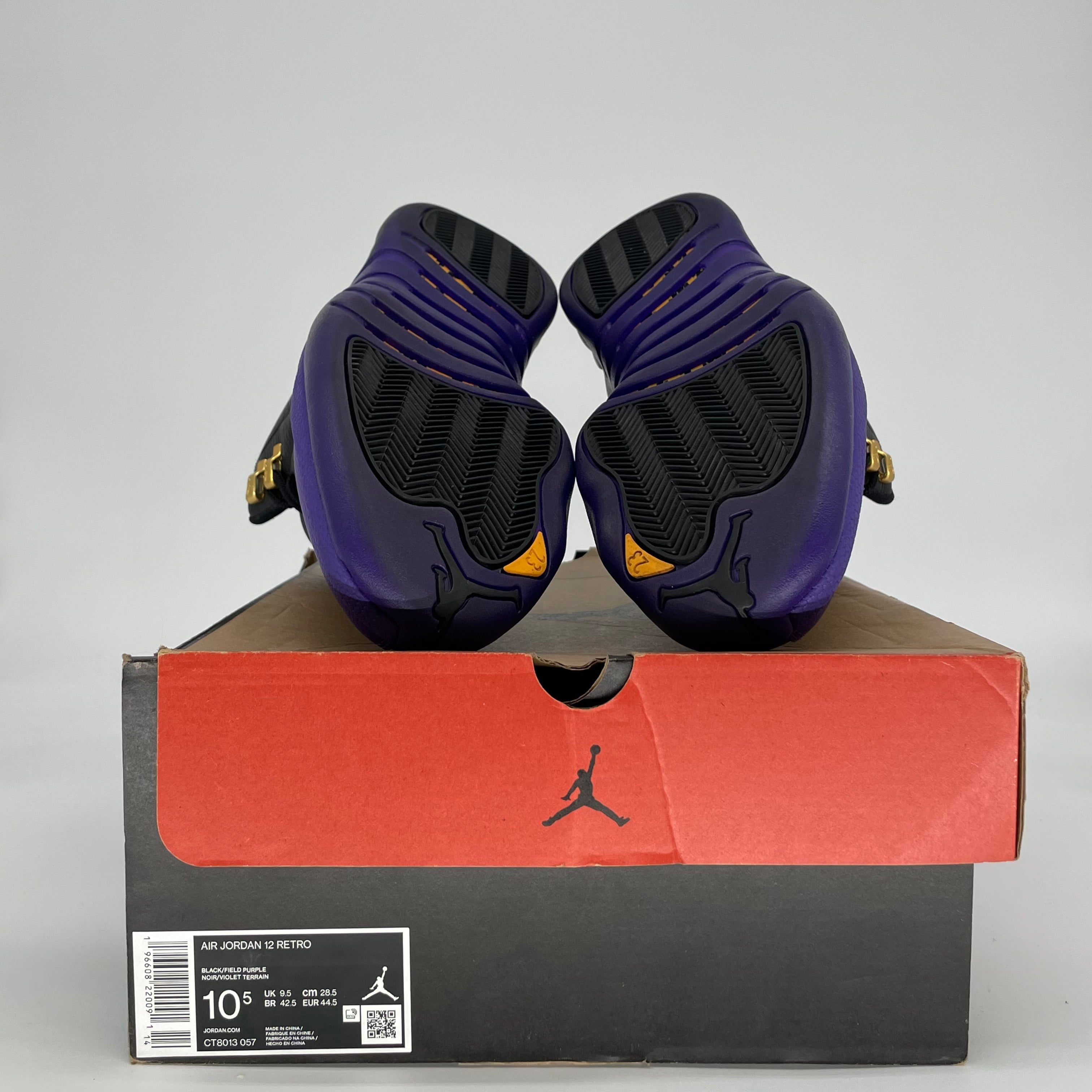 AIR JORDAN 12 FIELD PURPLE CT8013-057 SIZE 10/11.5W