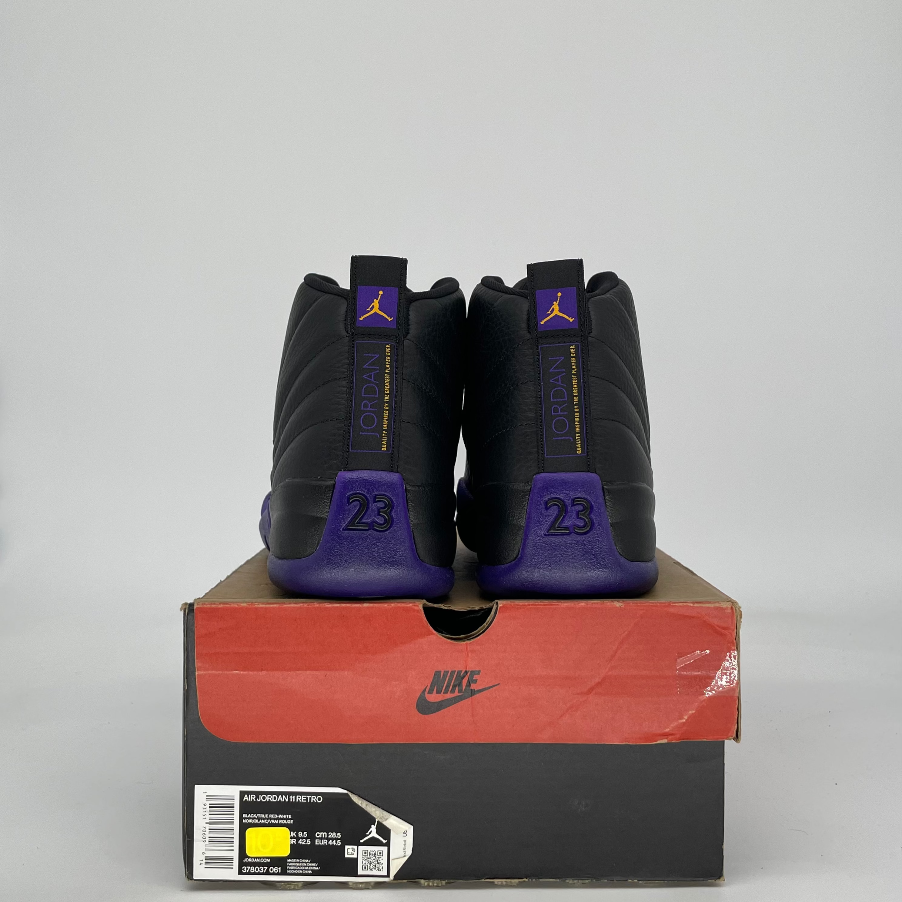 AIR JORDAN 12 FIELD PURPLE CT8013-057 SIZE 10/11.5W