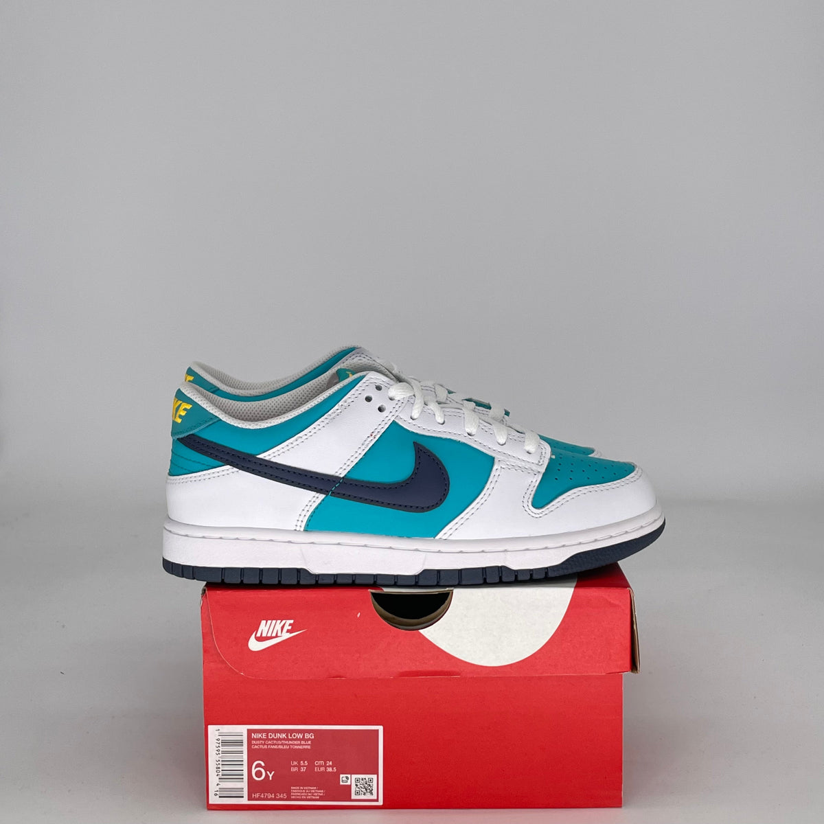 Nike Dunk Low Dusty Cactus Thunder Blue (GS)