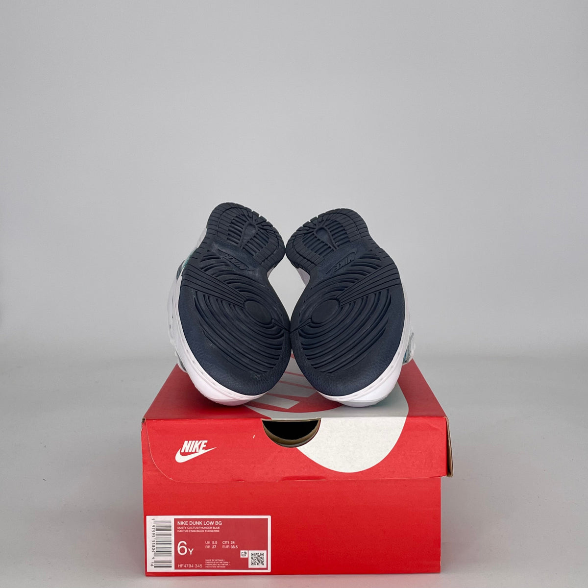 Nike Dunk Low Dusty Cactus Thunder Blue (GS)