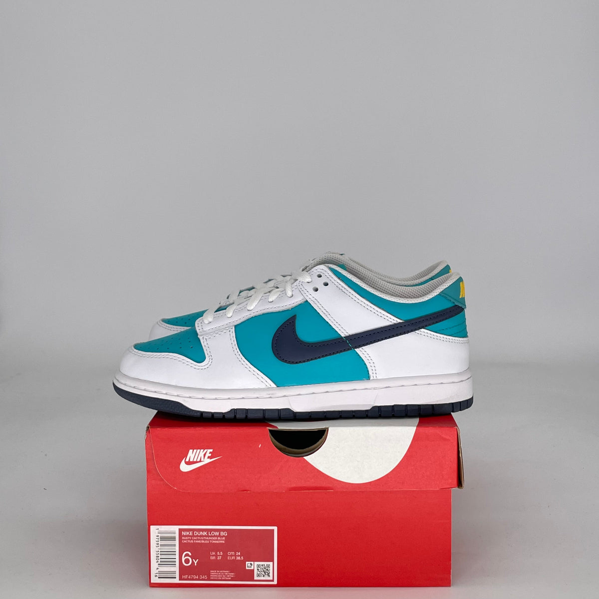 Nike Dunk Low Dusty Cactus Thunder Blue (GS)