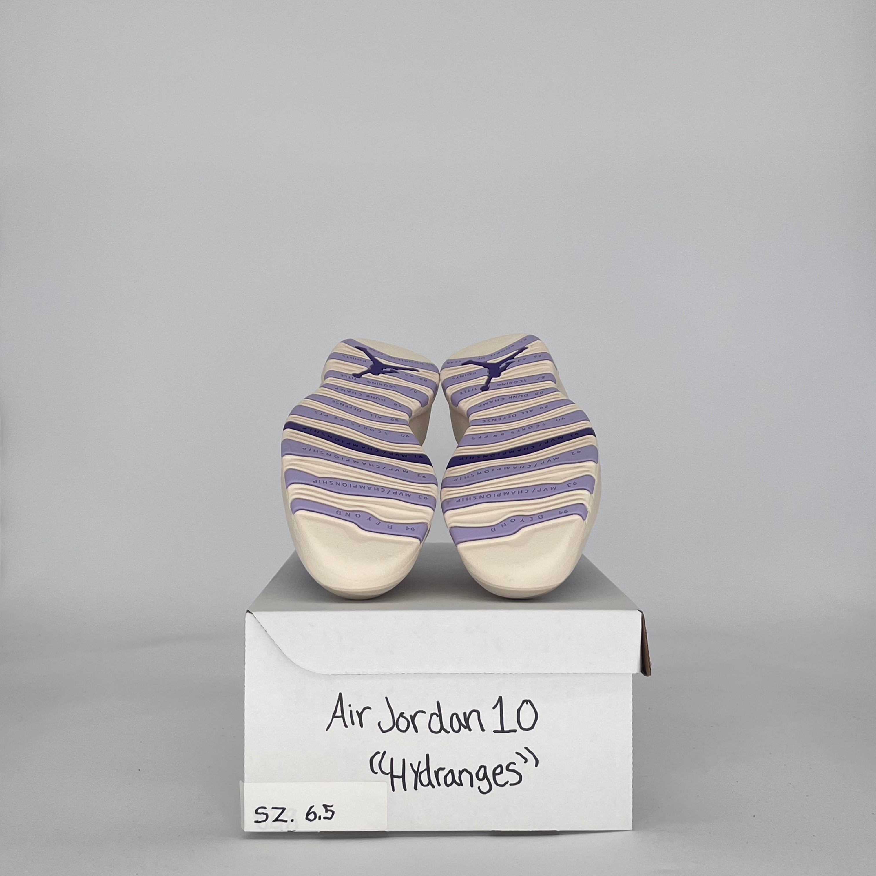 AIR JORDAN 10 HYDRANGEAS IQ0388-101 SIZE 6.5/8W GS