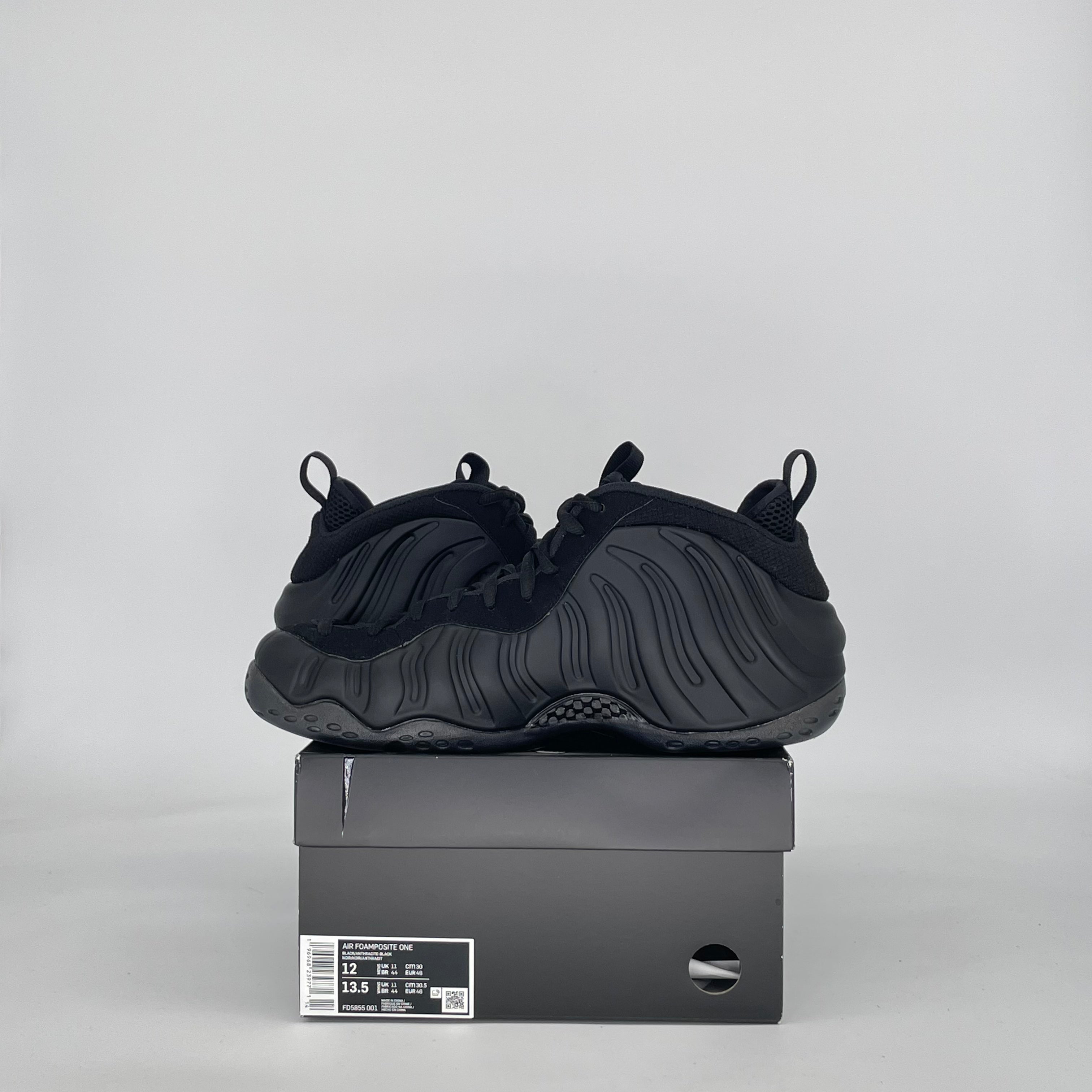 NIKE AIR FOAMPOSITE ONE ANTHRACITE (2023) FD5855-001 SIZE 12/13.5W