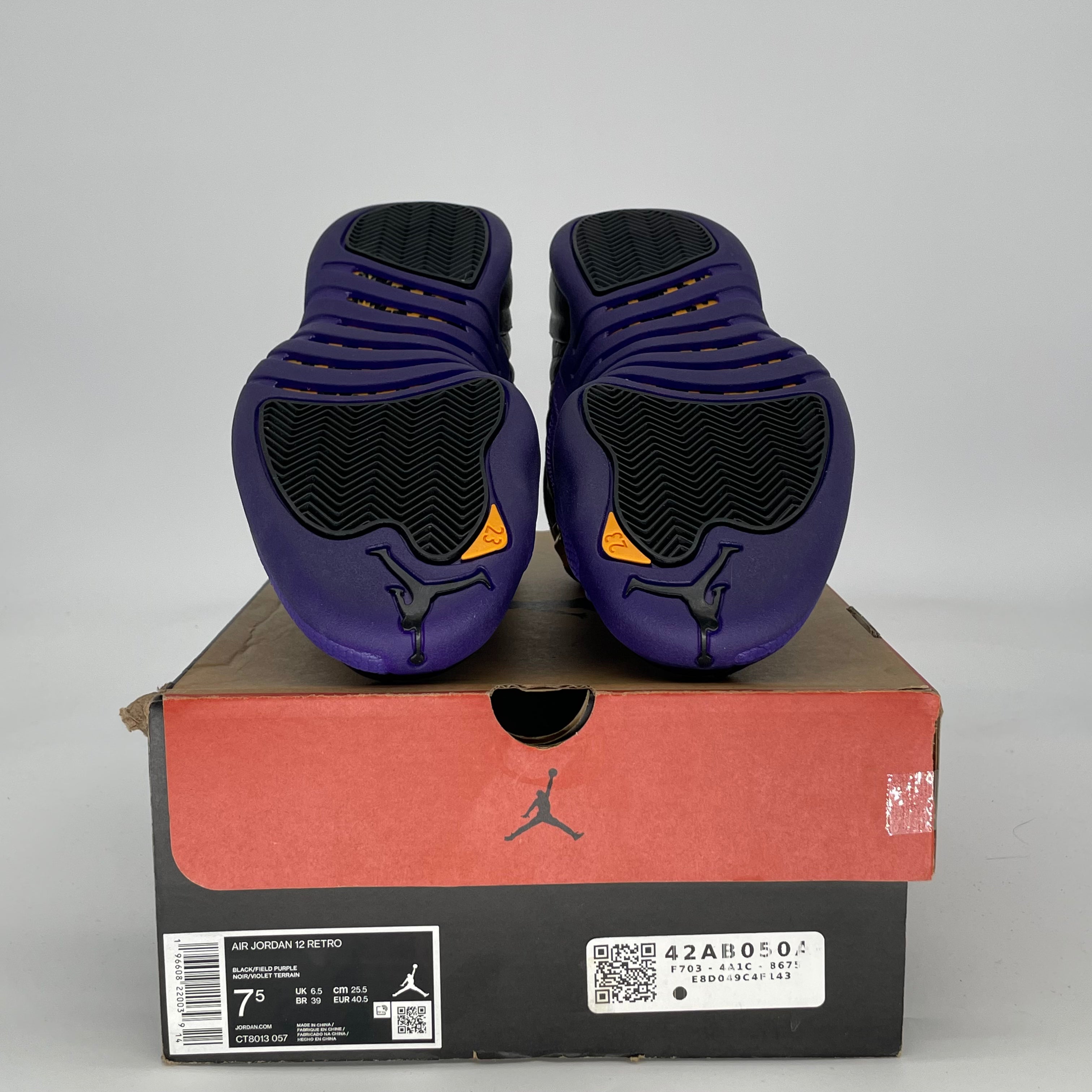 AIR JORDAN 12 FIELD PURPLE CT8013-057 SIZE 7.5/9W